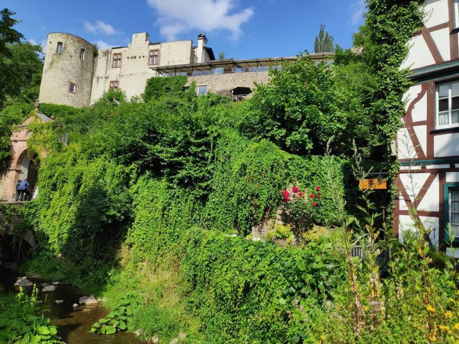 Das Hideaway Zum Seele Baumeln Lassen ! Bad Muenstereifel Zewnętrze zdjęcie